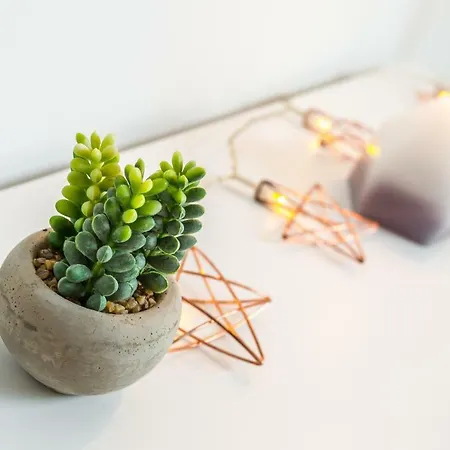 Apartment Picar'appart